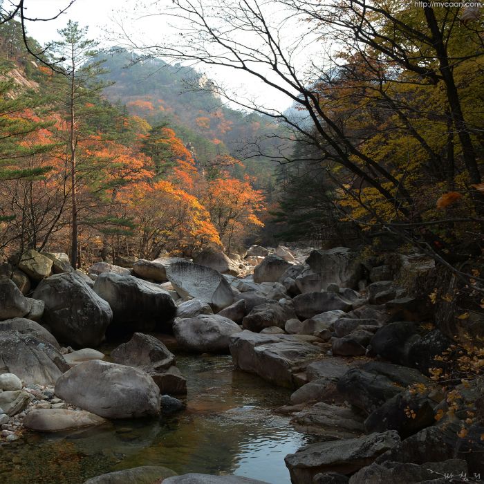 사용자 삽입 이미지