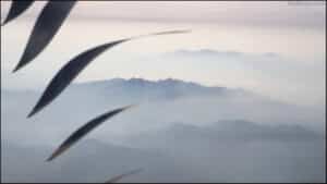 프로펠러비행기