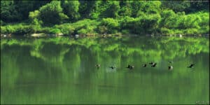 팔당(八堂)/Paldang,Hangang River