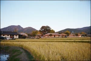 외암리마을 / Wae Am RI old  village