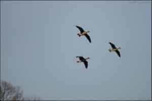 대명포구, 덕포진에서