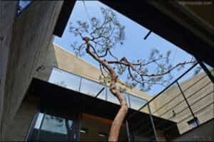 수석동 매송헌(呆松軒) / Maesong Heon