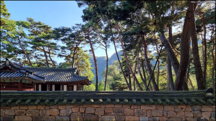 영월 청령포