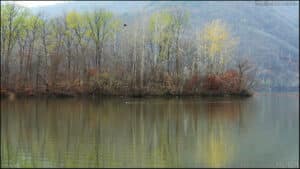 늦가을 산책코스- 다산로(茶山路)