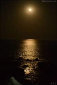 경주문화유산여행 / Tour of the Gyeongju cultural Heritage