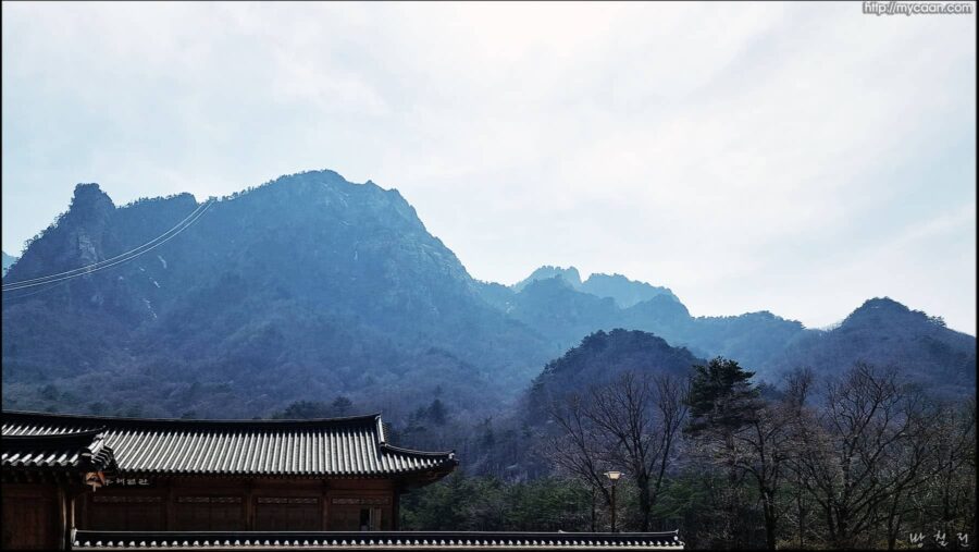 조화